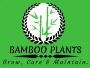Gardenbambooplants.com is a Home and Garden website. We are all about bamboos – grow, care and uses. G.B.P.’s website contains information about the popular bamboo plants that grow in the UK. This site started when we were maintaining our bamboo screen. Here, we share our passion for growing, caring and maintaining these amazing evergreen plants in pots or in the garden.